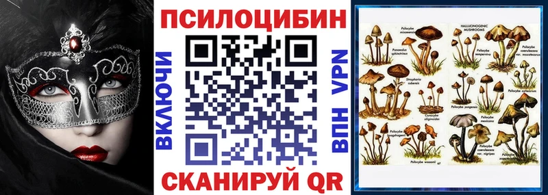 Купить где  Белозерск  Галлюциногенные грибы Psilocybe 